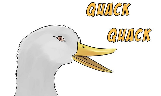 quack.png